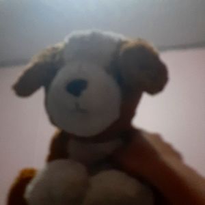 Don't have  room and no kids